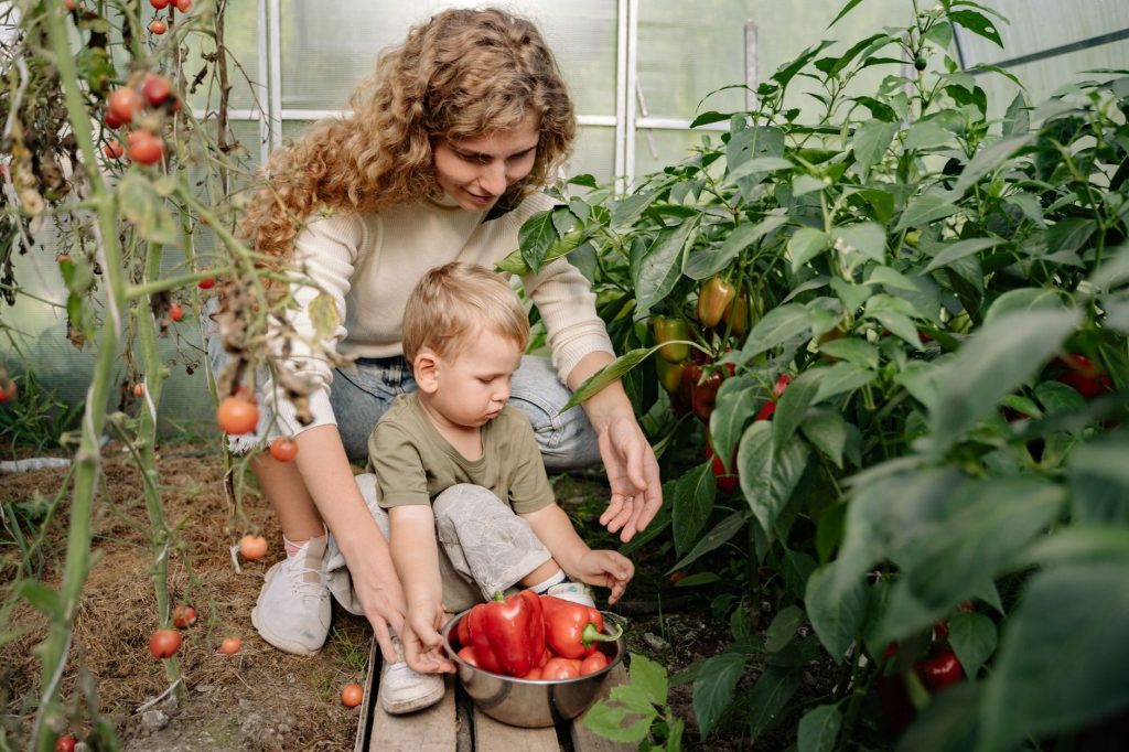 Nachhaltig Gärtnern: Tipps für deinen umweltfreundlichen Garten