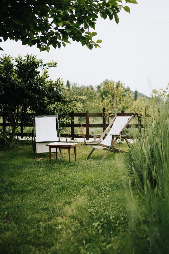 Gartenpflege nach dem Hitzesommer: Tipps für die Regeneration
